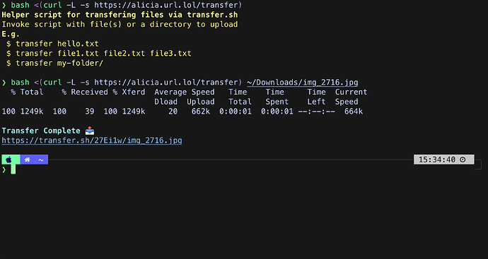 transfer-sh-example-usage