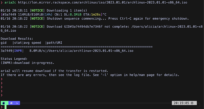 aria2c-example-usage