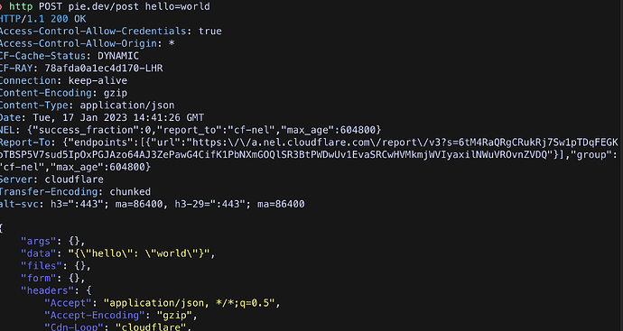 httpie-example-usage