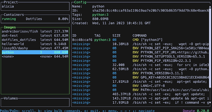 lazy-docker-example-usage