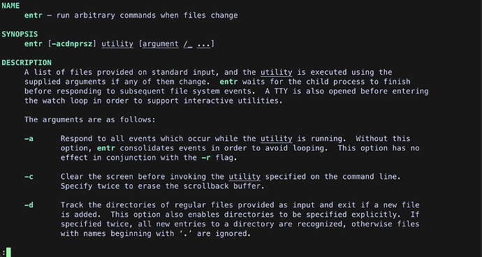 entr-example-usage