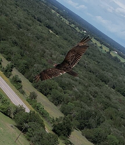 DJI_0145