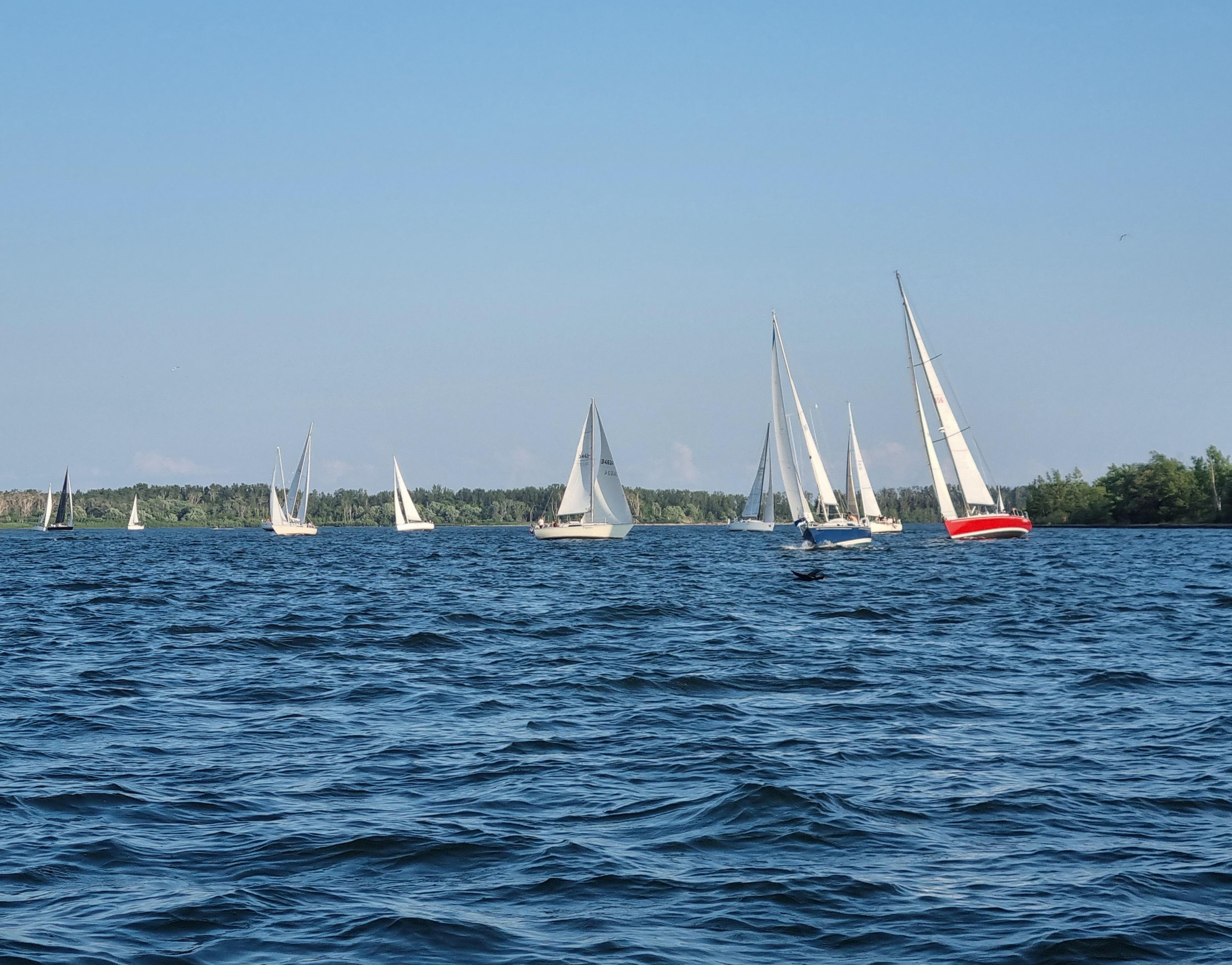 TGIF8,2,23mascouche in lead (1).jpg