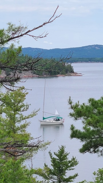 No photo description available..jpeg