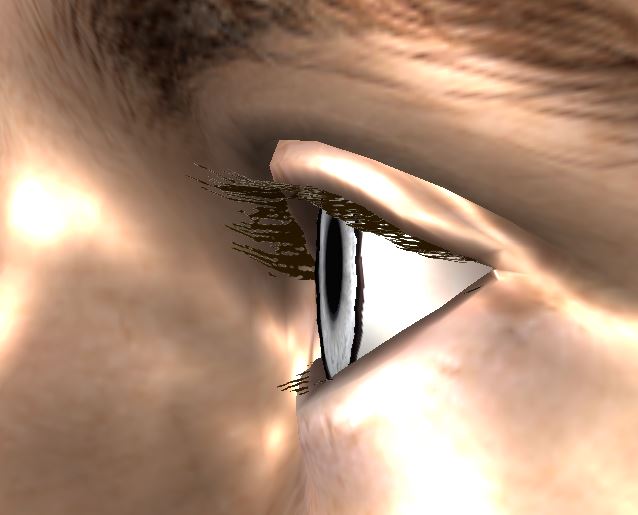 Loader%20Eyemoisture